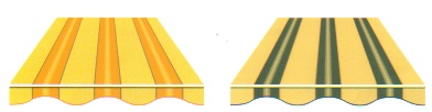 Terra 7